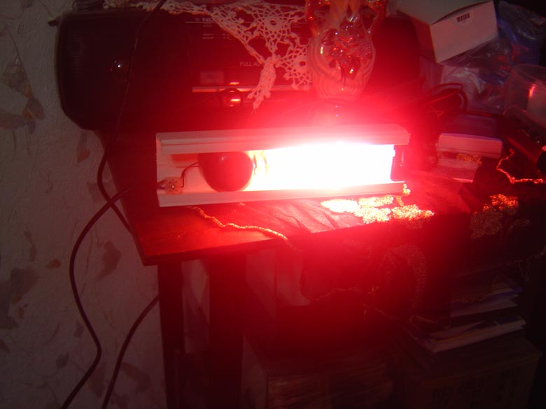 DSC00042