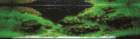 p0008_big_small.jpg