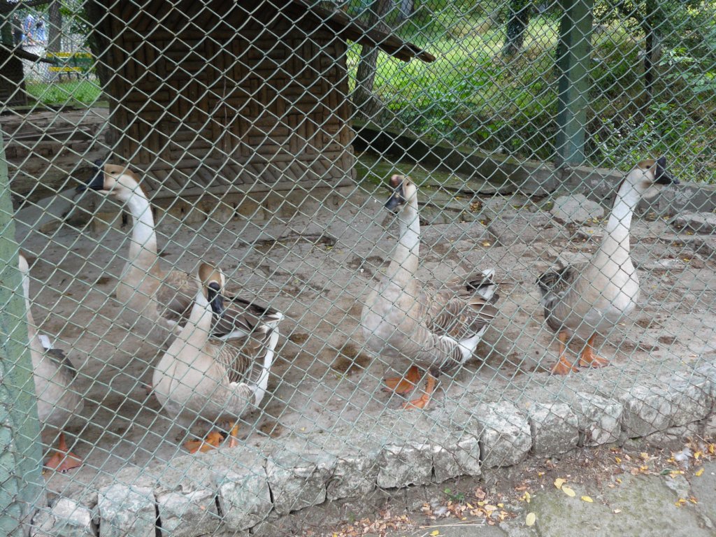 p1090570.jpg