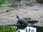 p1090573_small.jpg