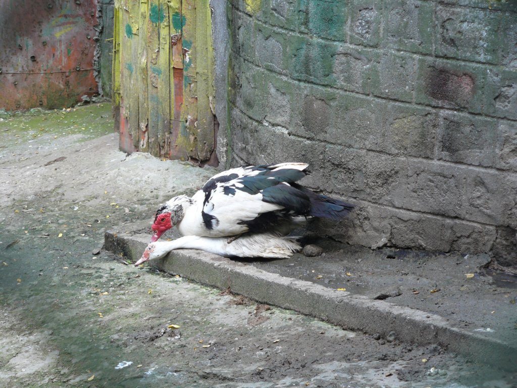 p1090579.jpg
