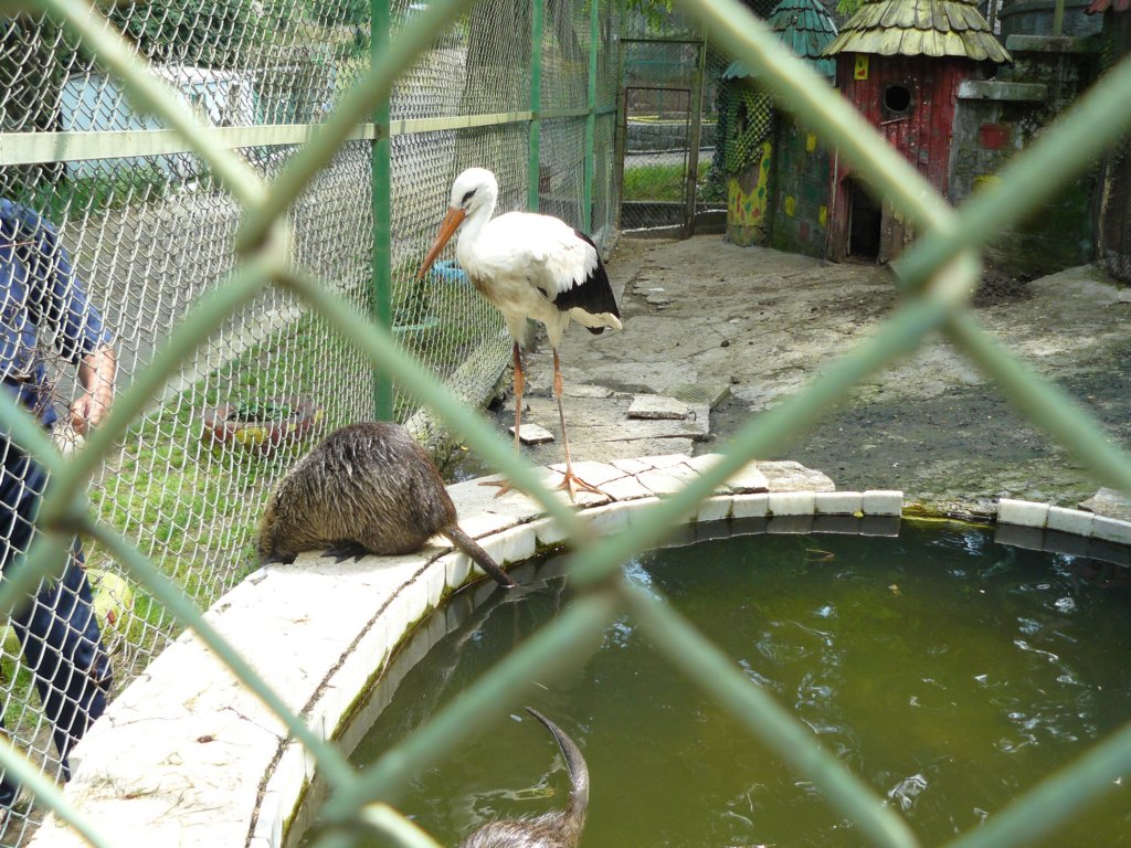 p1090580.jpg