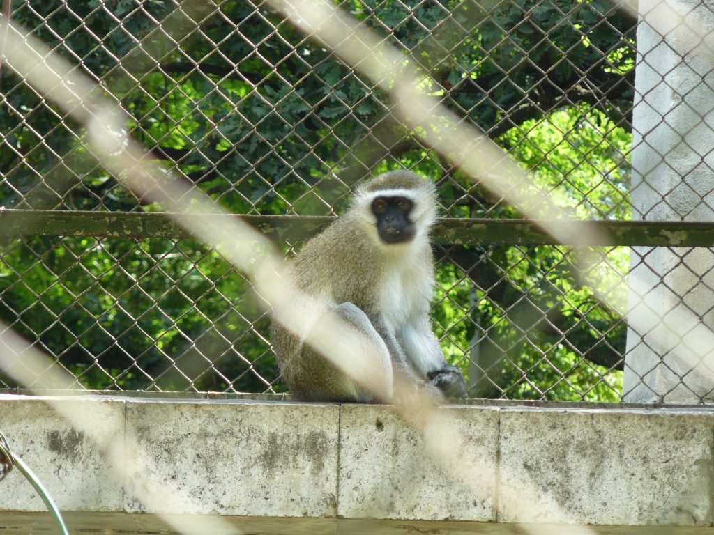 p1090586.jpg