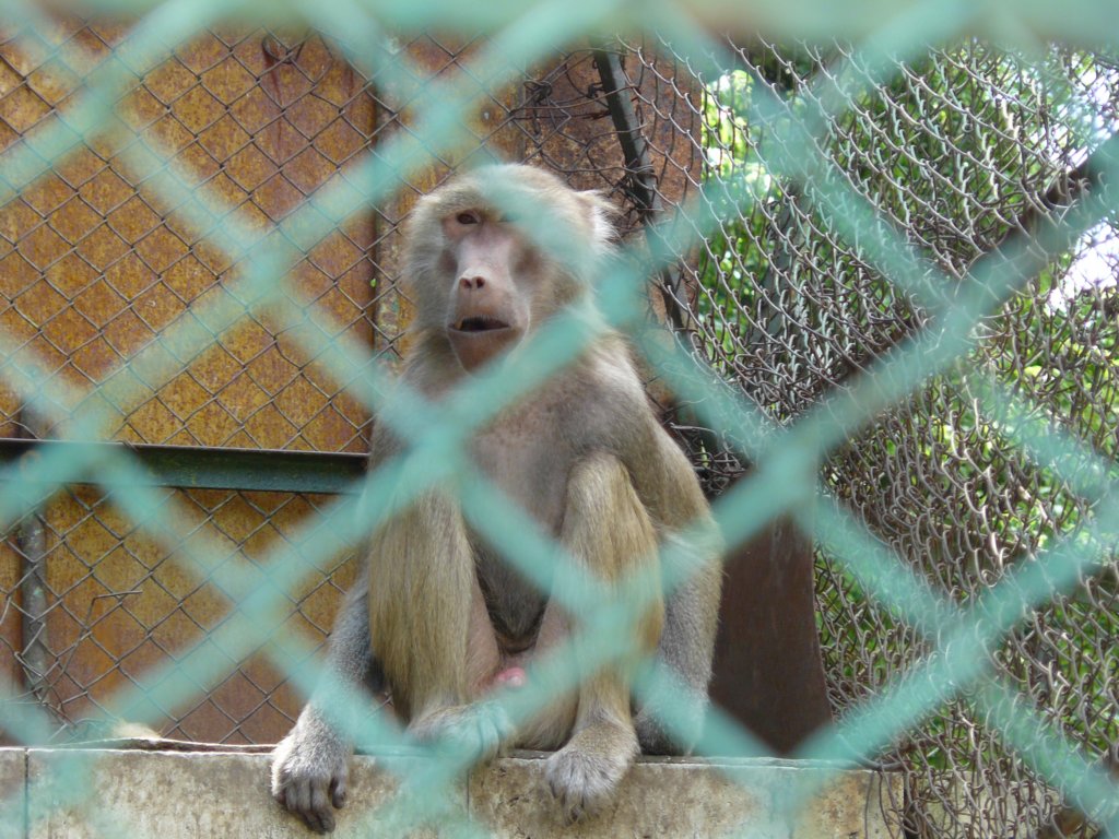 p1090593.jpg