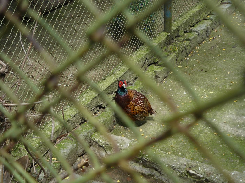 p1090600.jpg