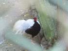 p1090604_small.jpg