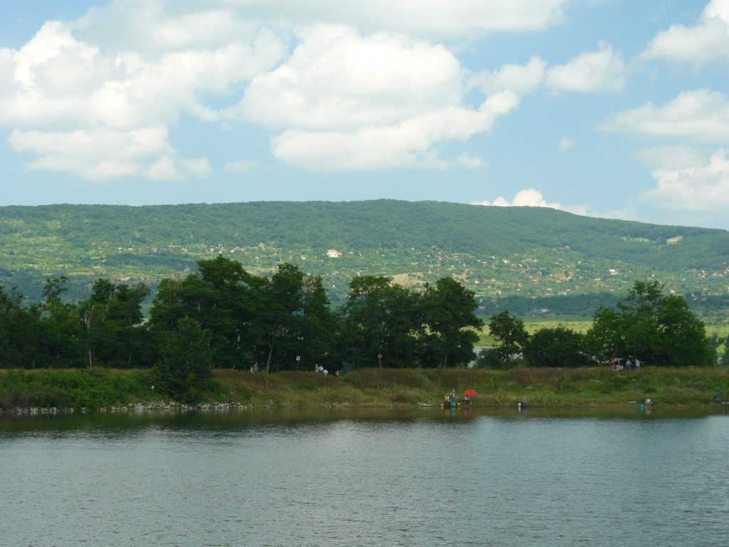 p1090610.jpg