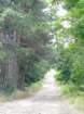 p1090653_small.jpg