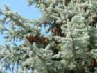 p1090714_small.jpg