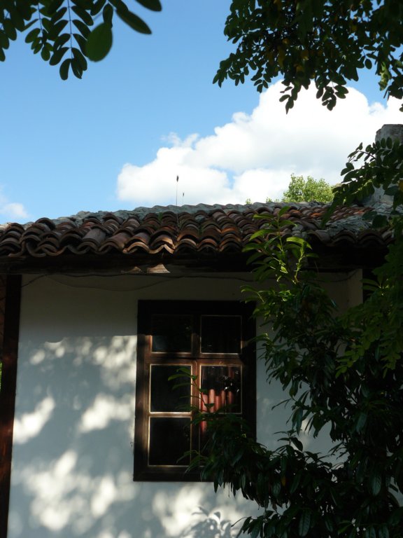 p1090759.jpg