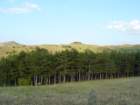 p1090857_small.jpg