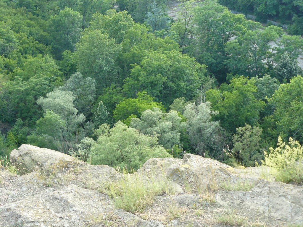 p1090868.jpg