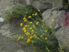 p1090877_small.jpg