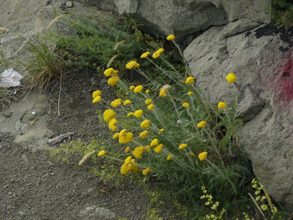 p1090878.jpg