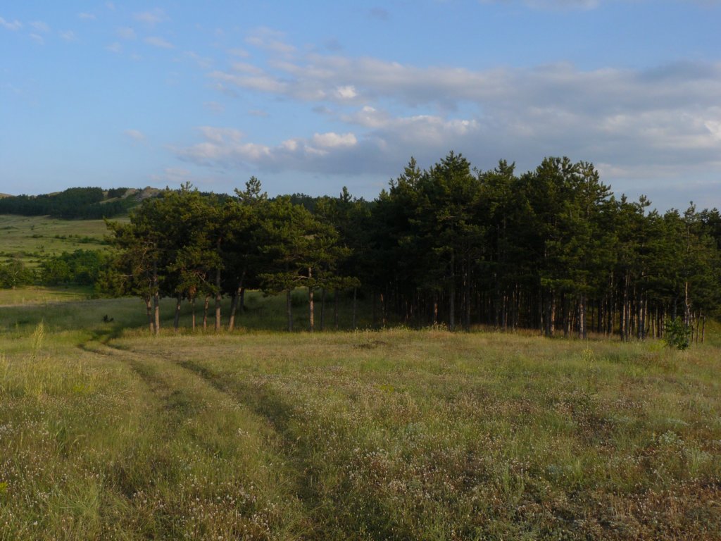 p1090881.jpg