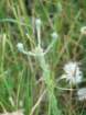 p1090889_small.jpg