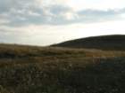 p1090892_small.jpg
