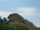 p1090905_small.jpg