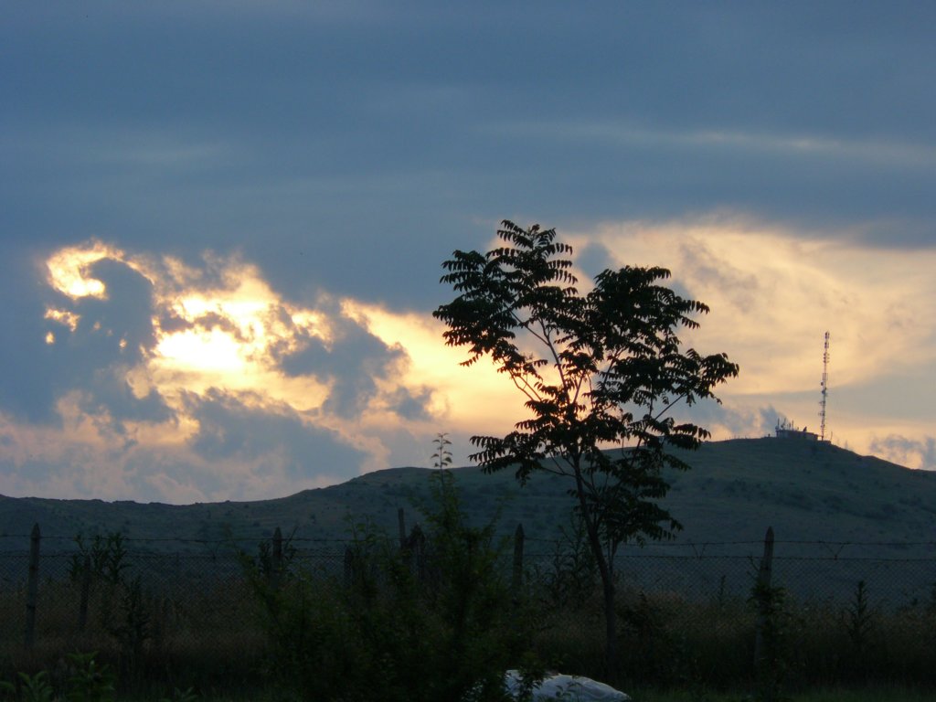 p1090911.jpg