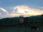 p1090914_small.jpg