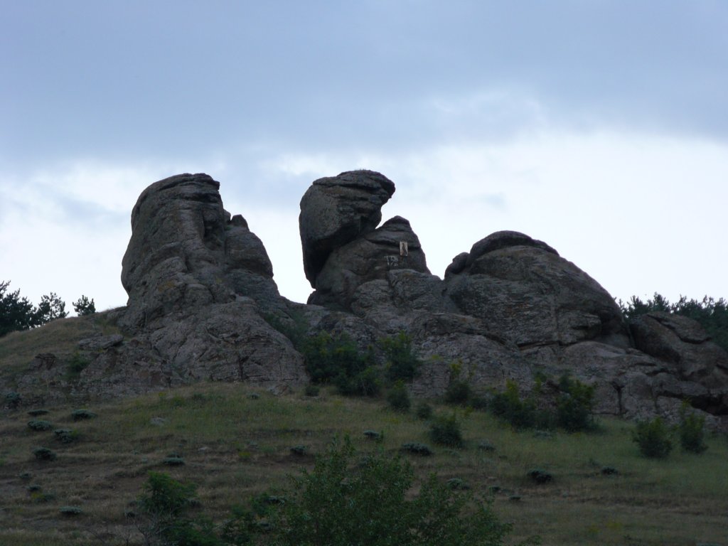 p1090915.jpg