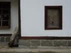 p1090964_small.jpg