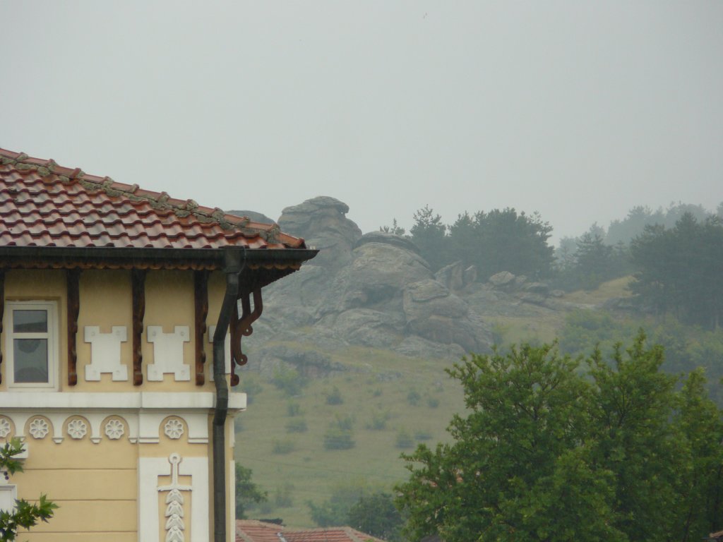 p1090972.jpg