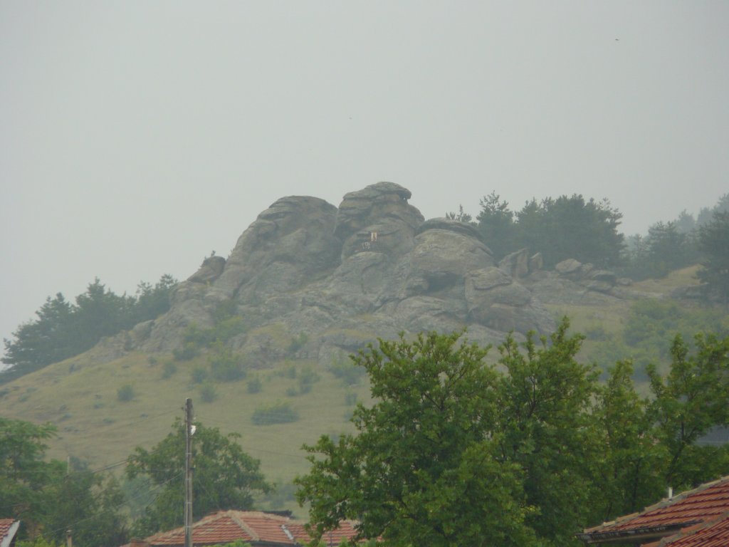 p1090980.jpg