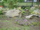 p1090984_small.jpg