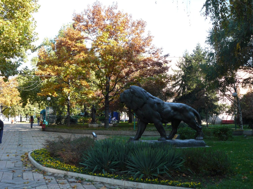 p1160683.jpg