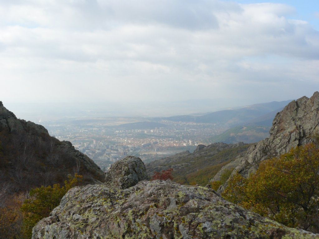 p1120106.jpg