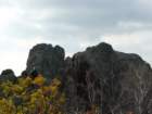 p1120112_small.jpg