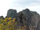 p1120113_small.jpg