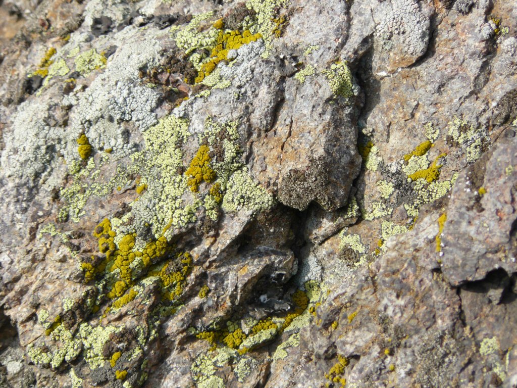 p1120117.jpg