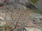 p1120118_small.jpg