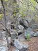 p1120120_small.jpg