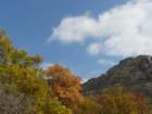 p1120127_small.jpg