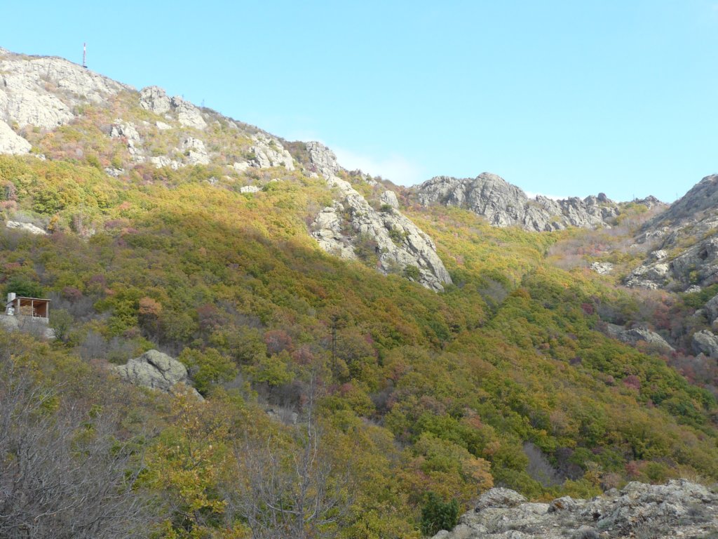 p1120131.jpg