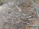 p1120135_small.jpg
