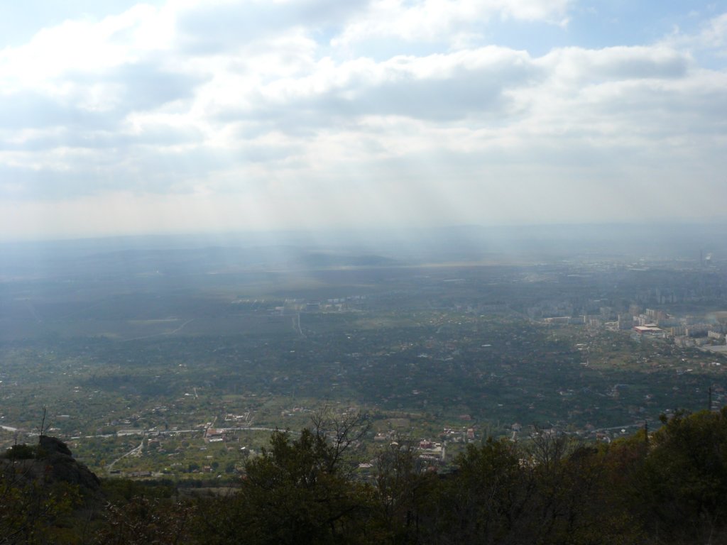 p1120138.jpg