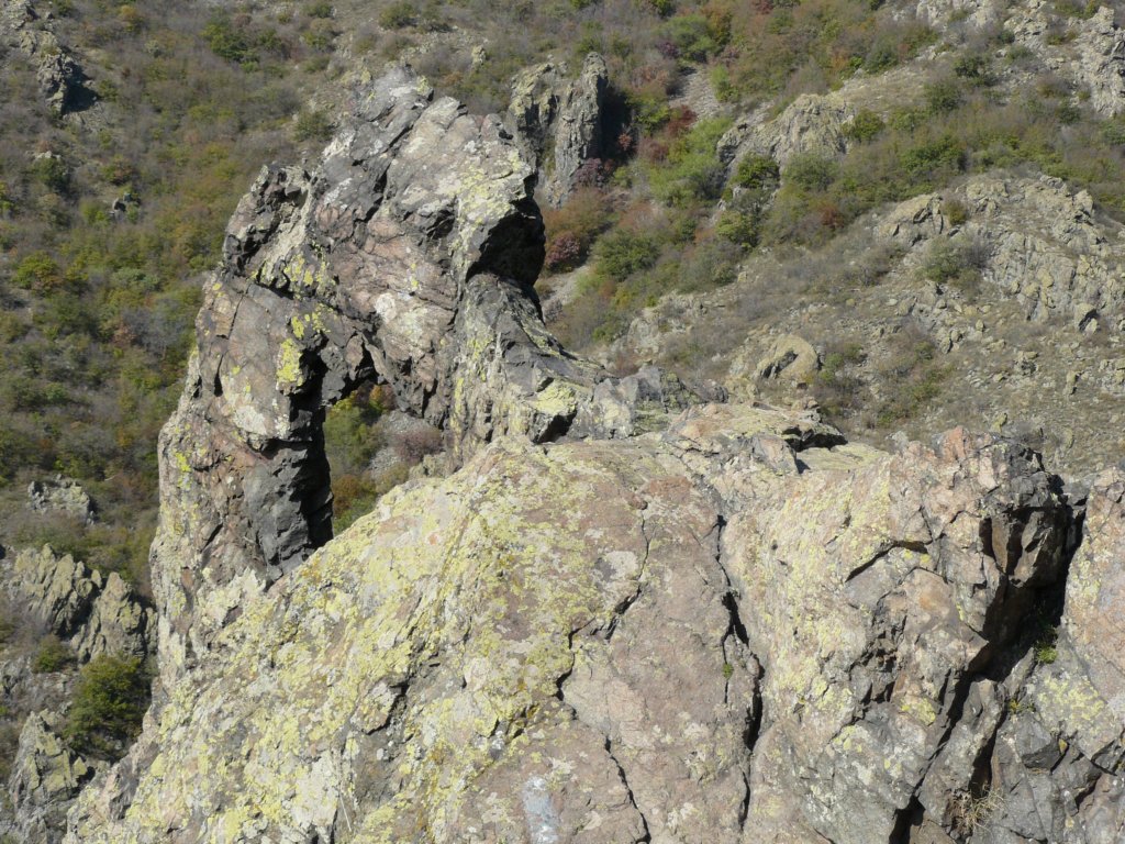p1120157.jpg