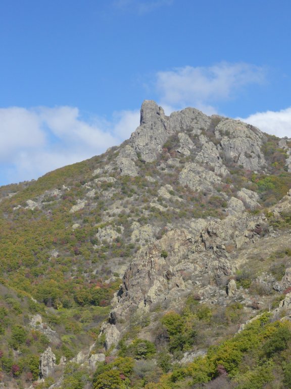 p1120161.jpg