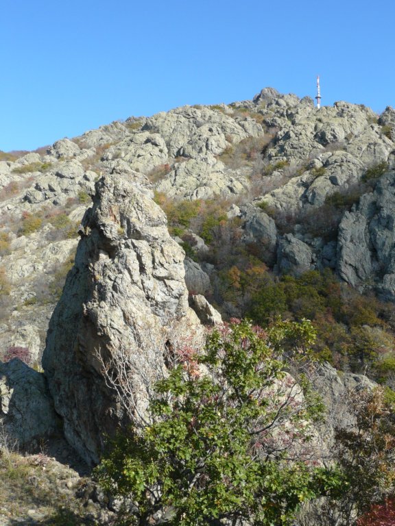 p1120185.jpg