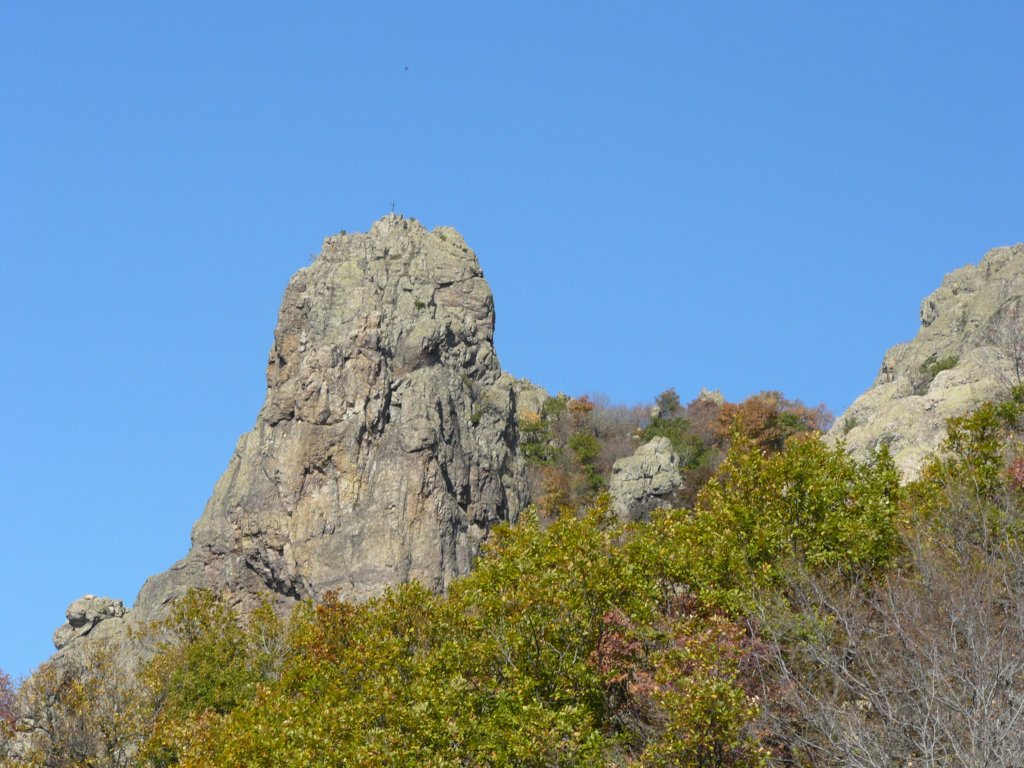 p1120192.jpg