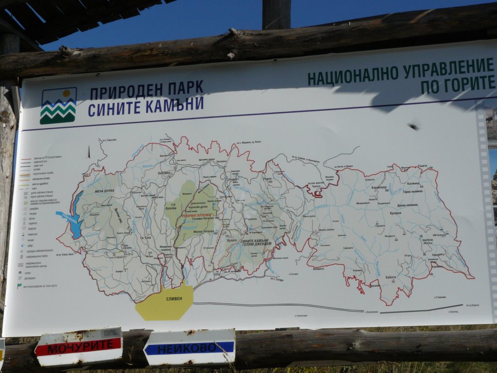 p1120197.jpg