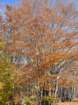 p1120205_small.jpg