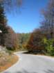 p1120226_small.jpg