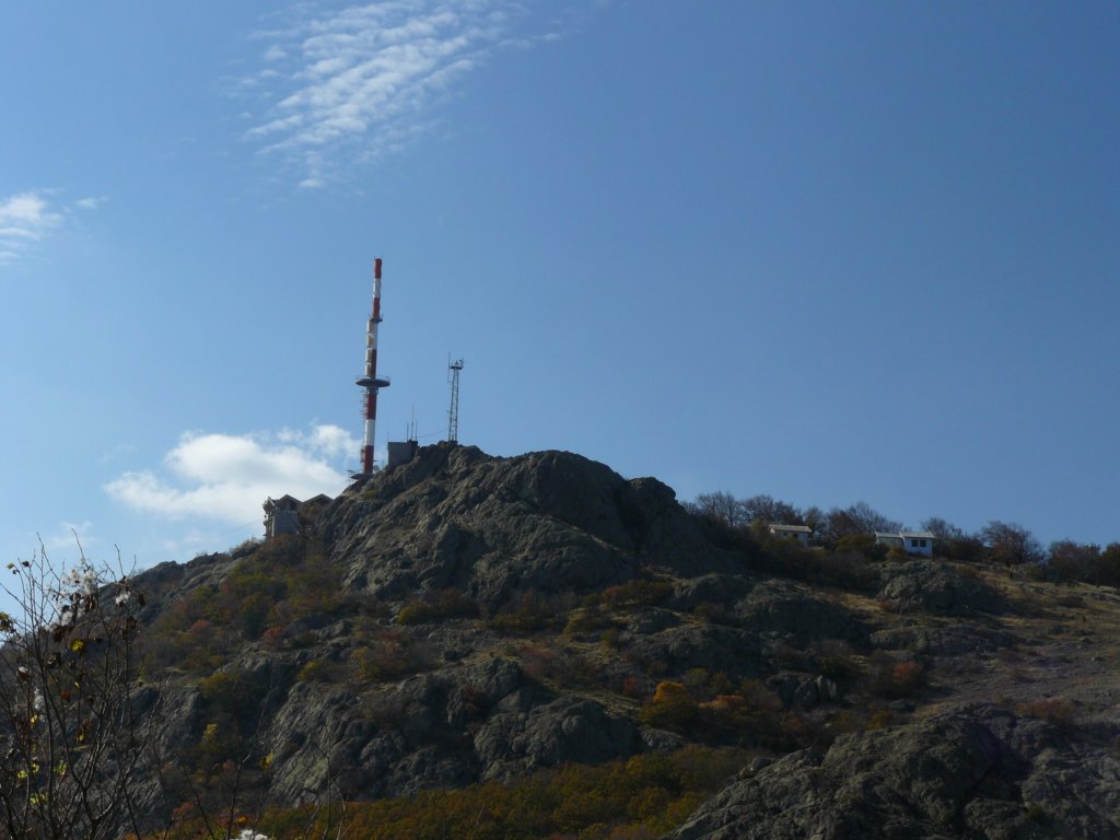 p1120230.jpg