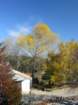 p1120235_small.jpg