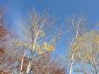 p1120236_small.jpg